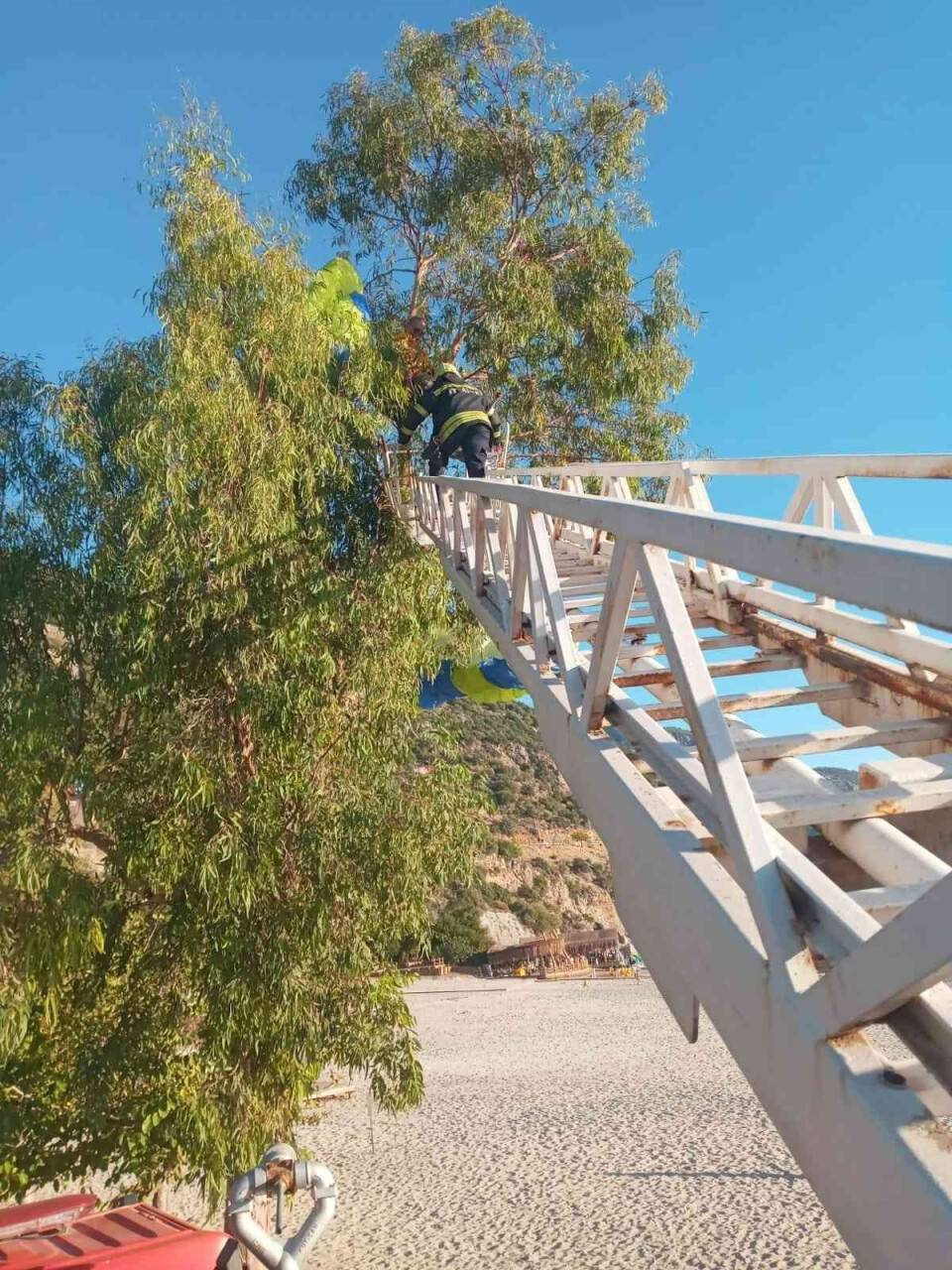 1700 metreden atladı, ağaçta asılı kaldı