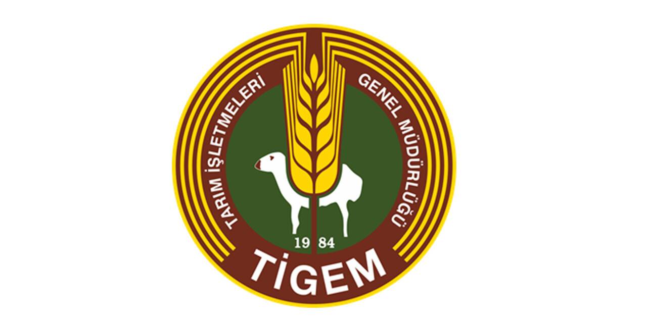 Yemek hazırlama ve dağıtma hizmeti alınacak