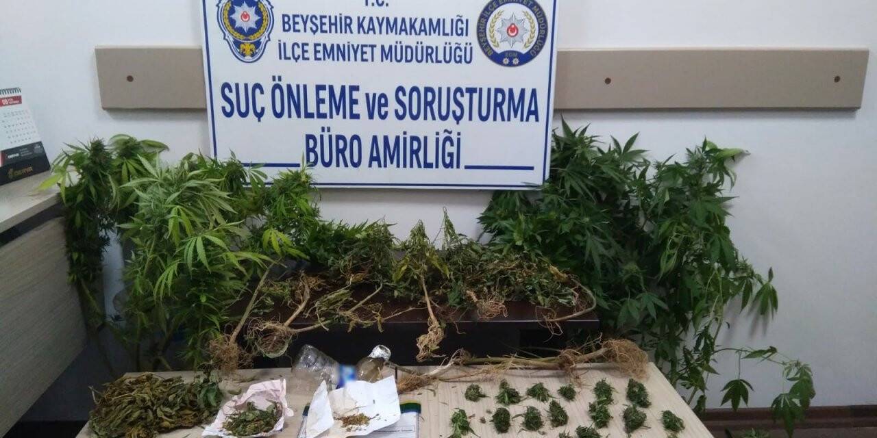 Uyuşturucu yetiştirilen iş yerine baskın!