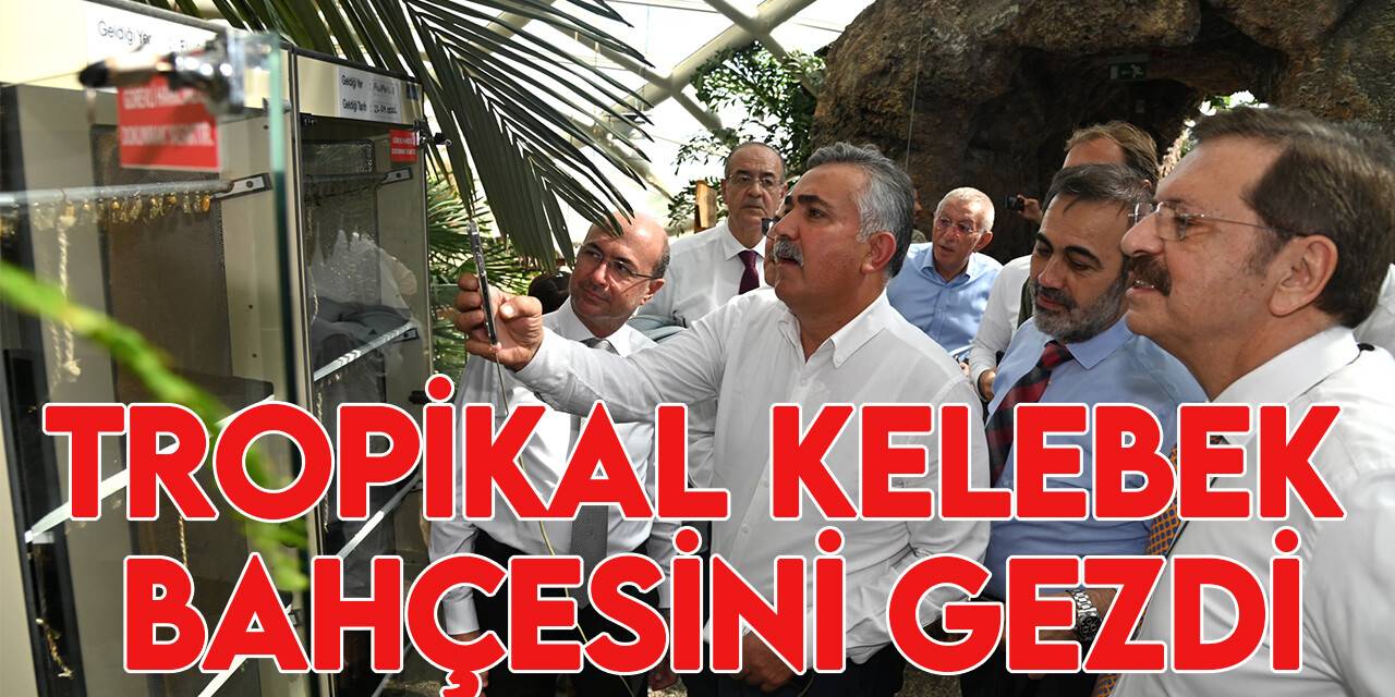 Hisarcıklıoğlu, Tropikal Kelebek Bahçesi’ni gezdi