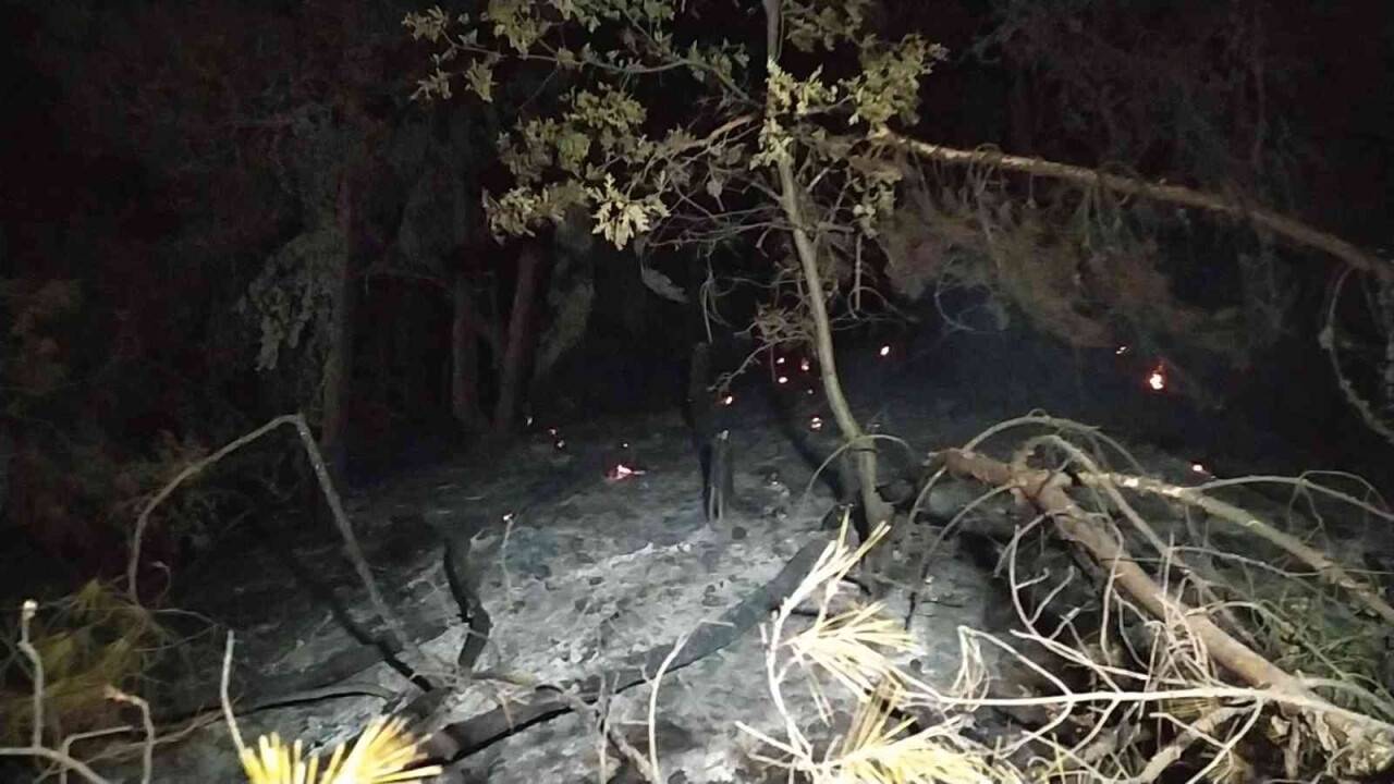 Uşak’ta çıkan orman yangını kontrol altına alındı