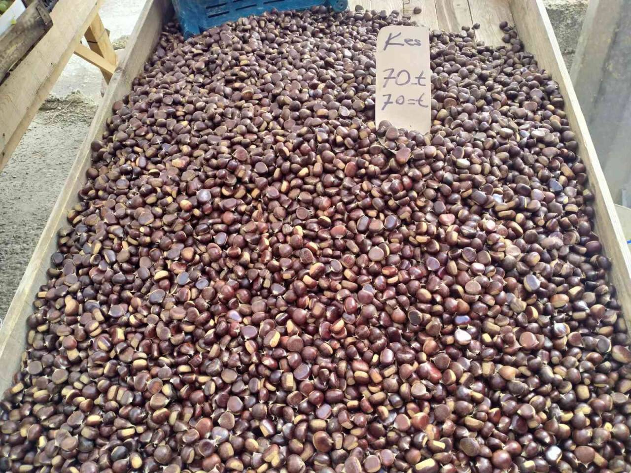 Sinop’ta kestane 70 TL