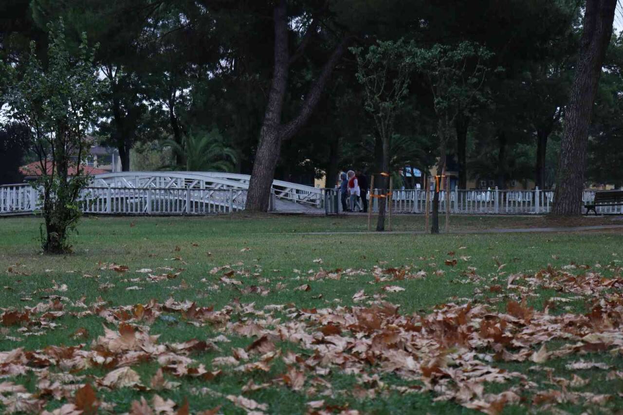 Sakarya’da sonbahar manzarası