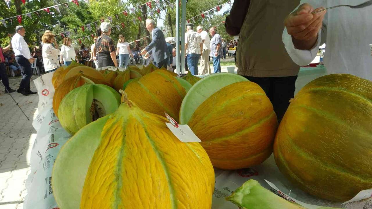 Menteşeli kavun üreticileri kıyasıya yarıştı