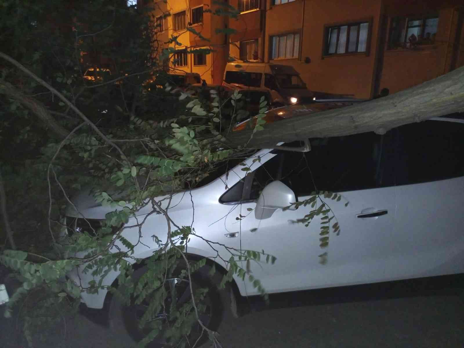 Trabzon’da şiddetli rüzgar etkili oldu