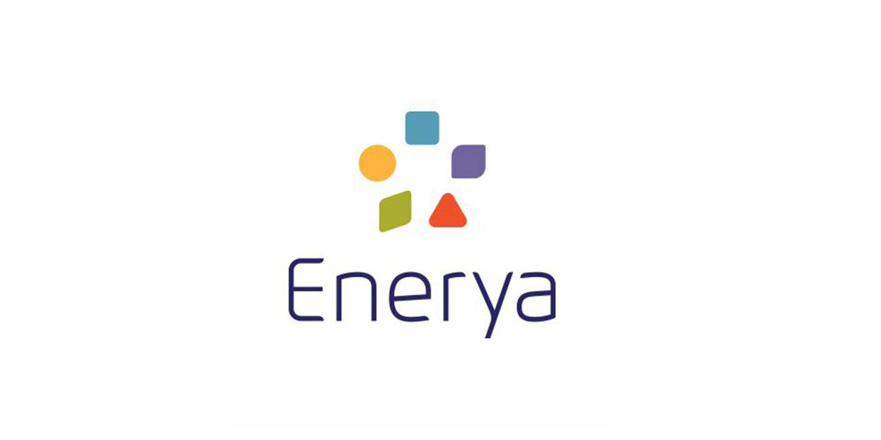 Sıkıştırılmış doğalgaz alımı yapılacak