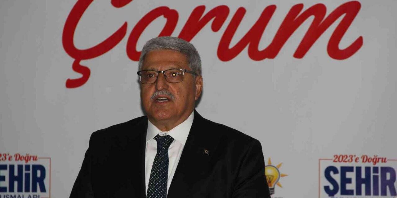 AK Parti Genel Başkan Yardımcısı Demiröz’den asgari ücret açıklaması