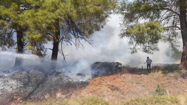 Antalya'da  orman yangını