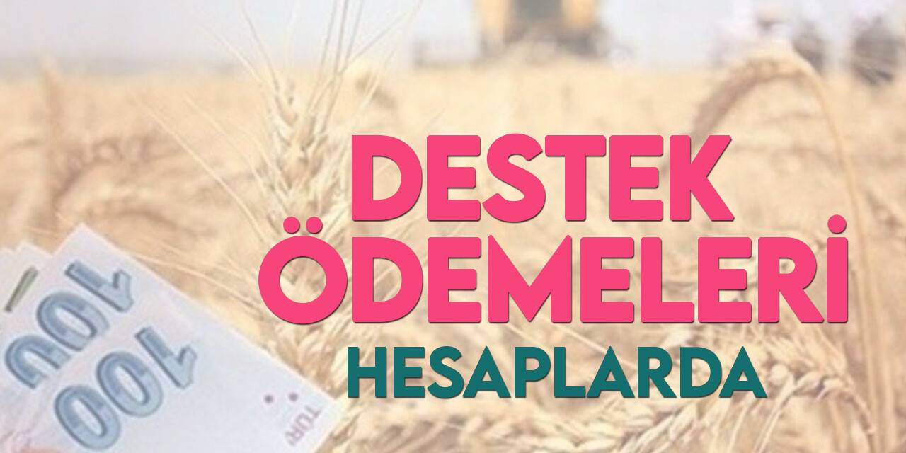 Destek ödemeleri hesaplara yatırıldı