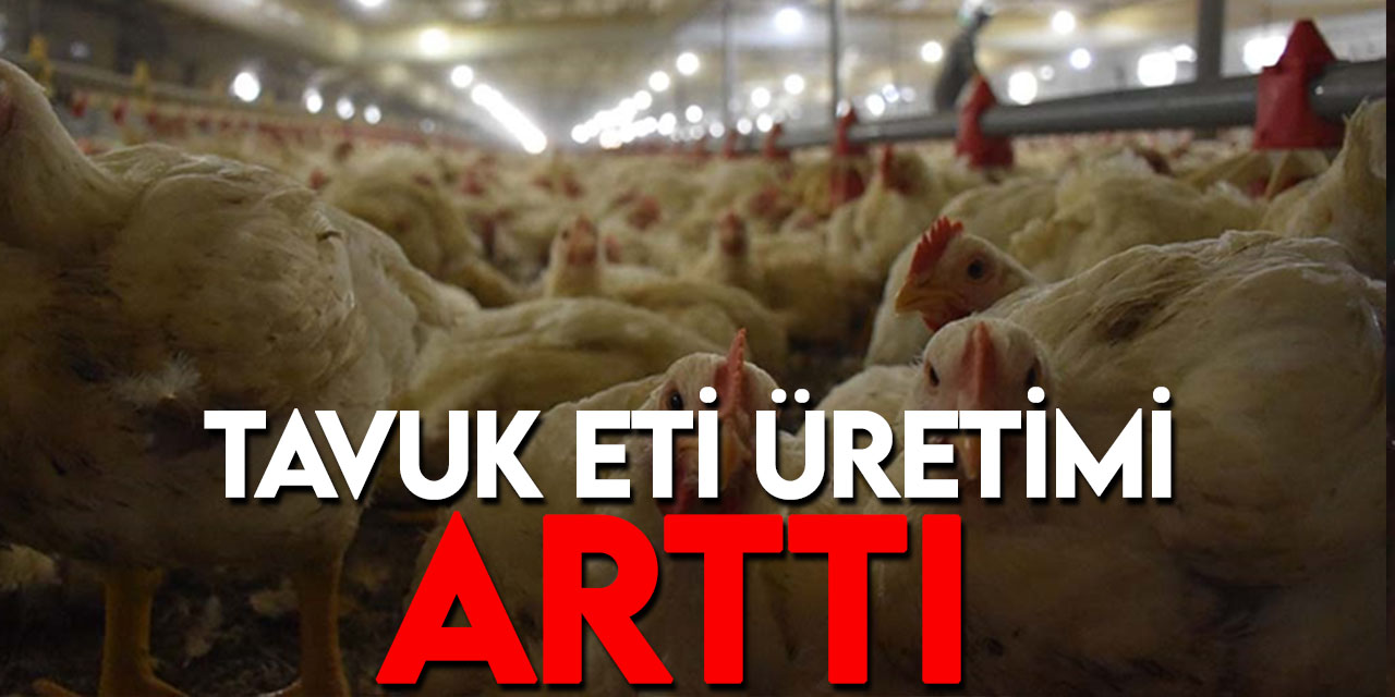Tavuk eti üretimi ağustosta yıllık bazda yüzde 12,1 arttı