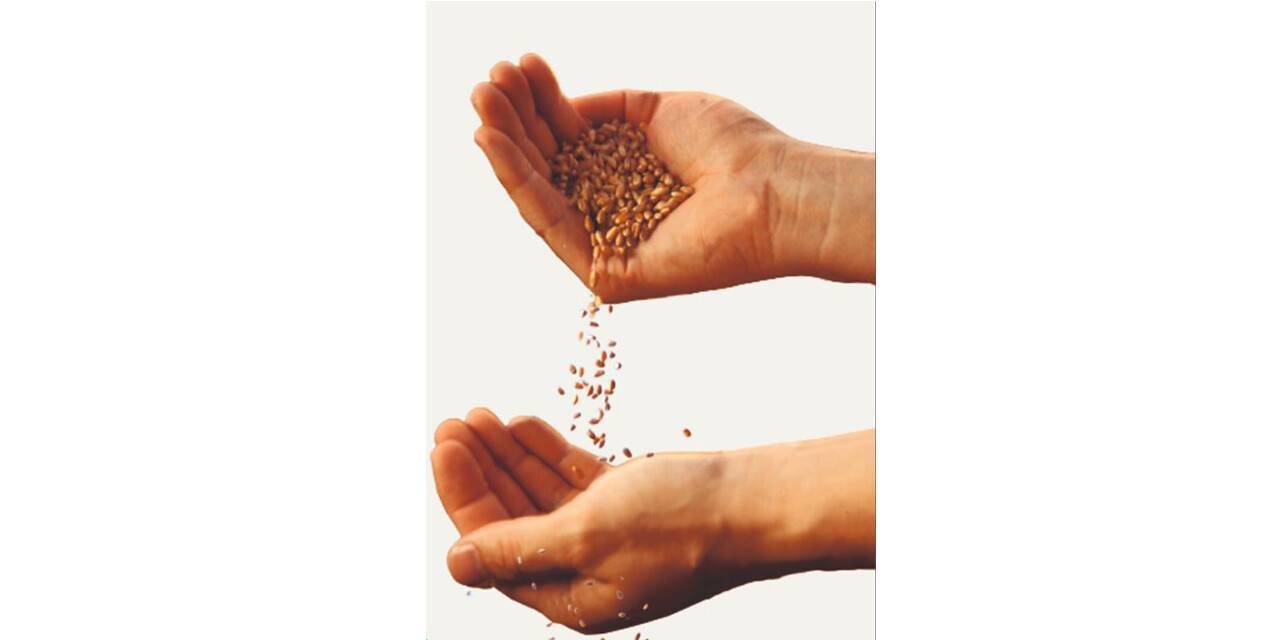 Gıda krizine karşı israfın  önüne geçilmesi çağrısı