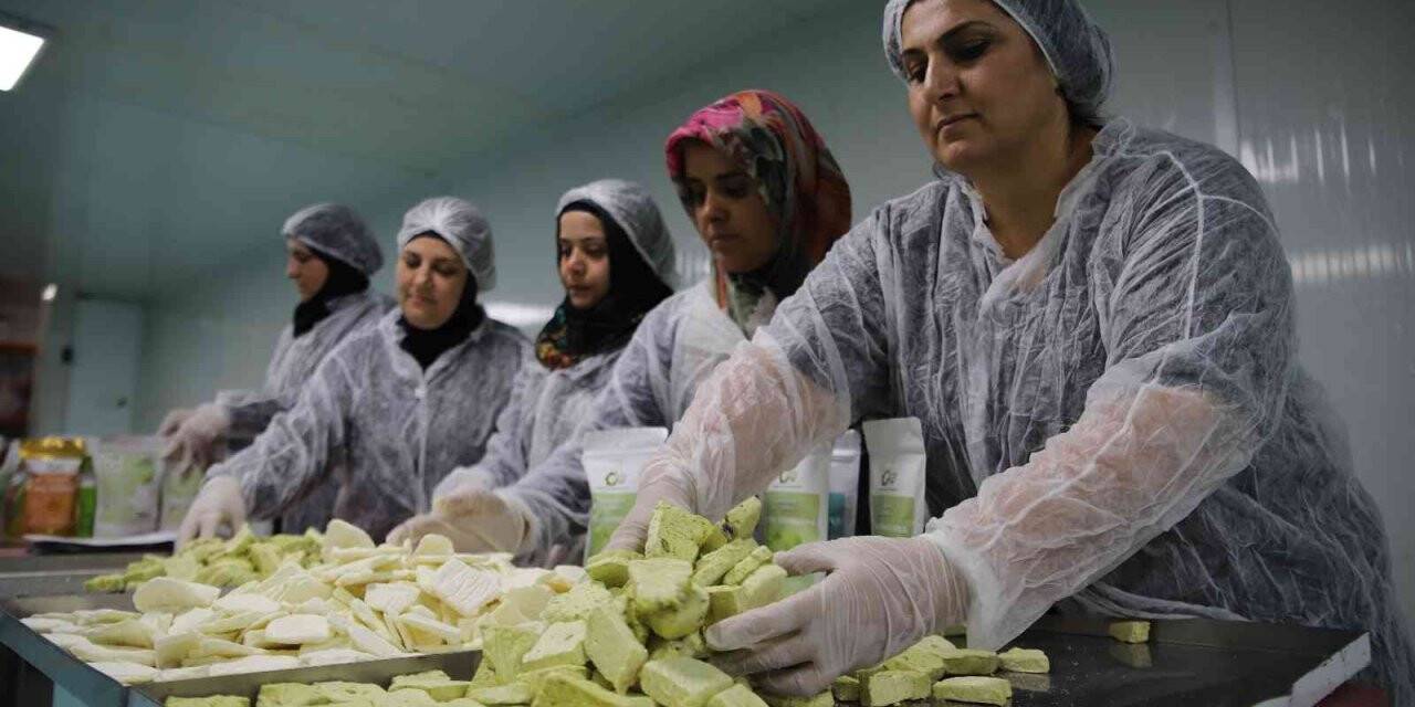 Dondurma artık kışın da tüketilecek