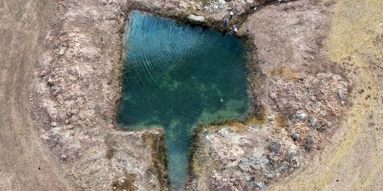 Uyuz hastalarını sevindiren gelişme, alternatif su bulundu