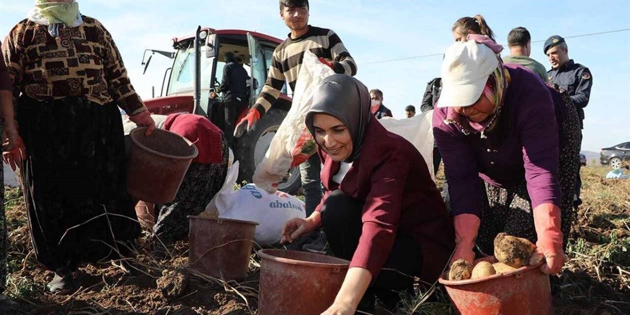 Vali Yiğitbaşı: “Patates üretiminde Türkiye’de üçüncü sıradayız”