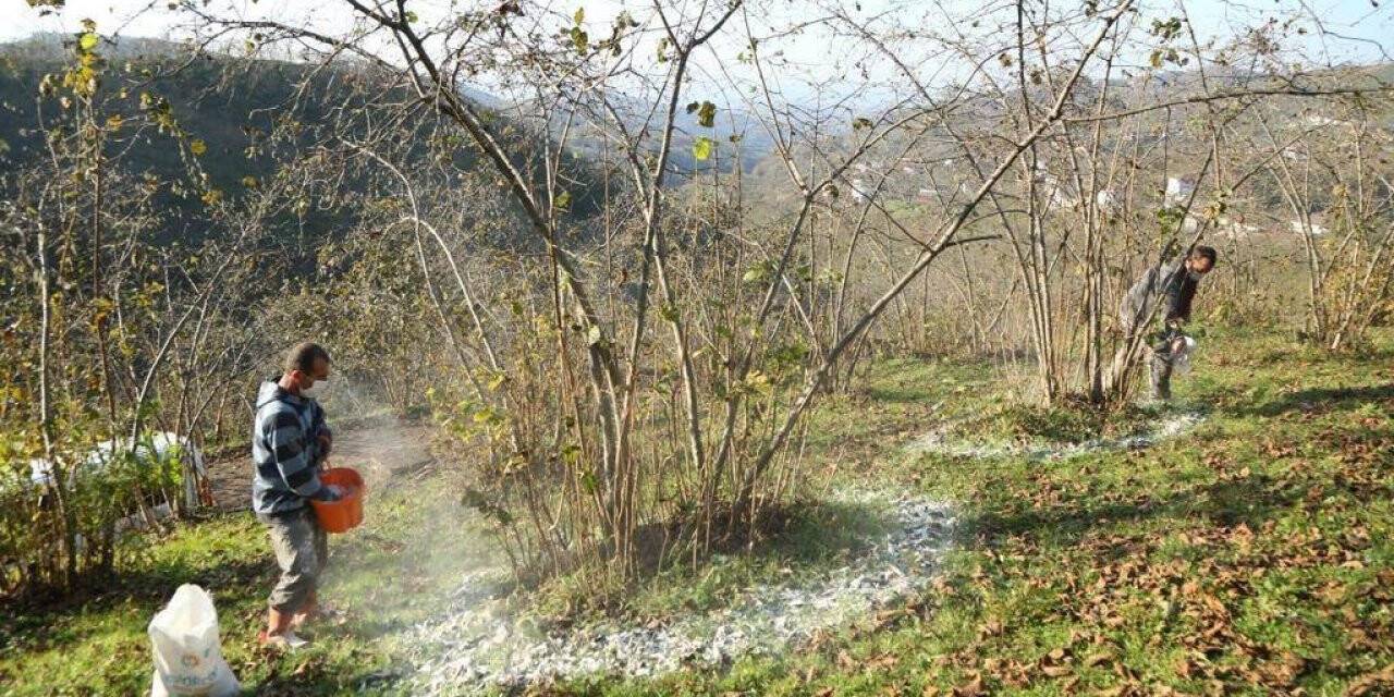 FINVER’e rekor başvuru