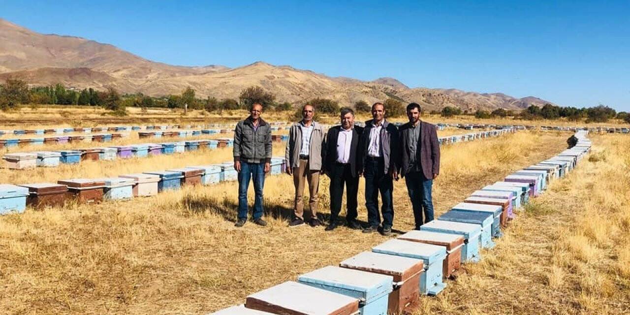 Elazığ’da arılı kovan denetimleri sürüyor