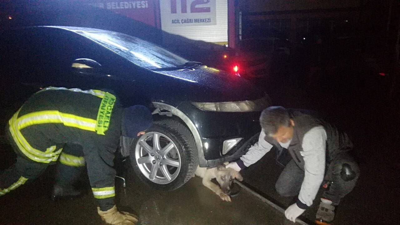 Otomobilin altına sıkışan köpeği itfaiye ekipleri kurtardı