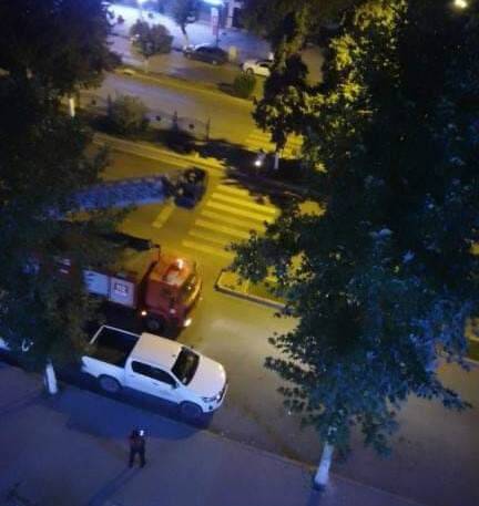 Ağaçta mahsur kalan kedi kurtarıldı