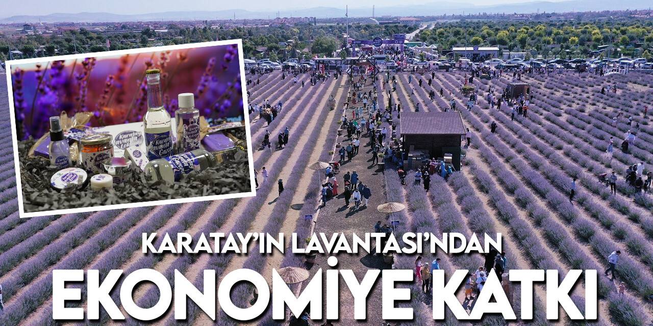 Karatay’ın lavantası ekonomiye katkı sağlıyor