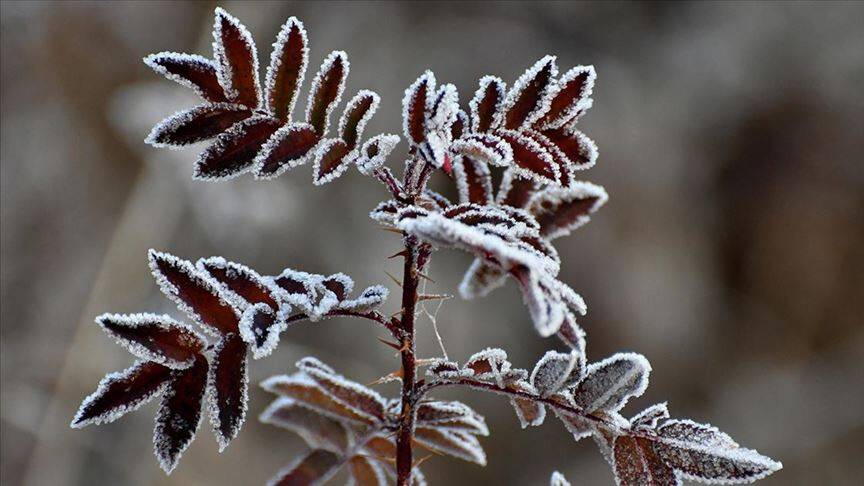 Meteorolojiden ’zirai don’ uyarısı