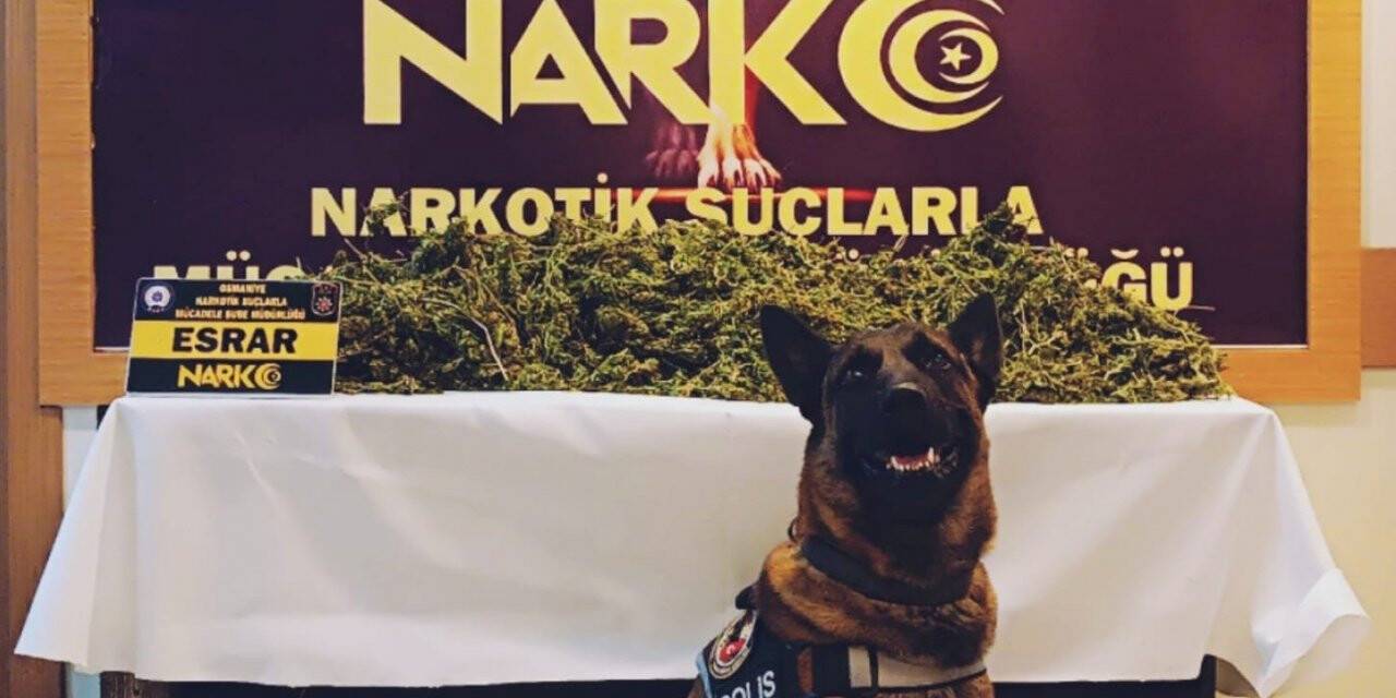 Osmaniye’de uyuşturucu operasyonlarında 6 tutuklama