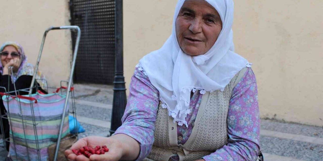 Sonbaharın kırmızısı şifa kaynağı kızılcık, pazar tezgahlarında