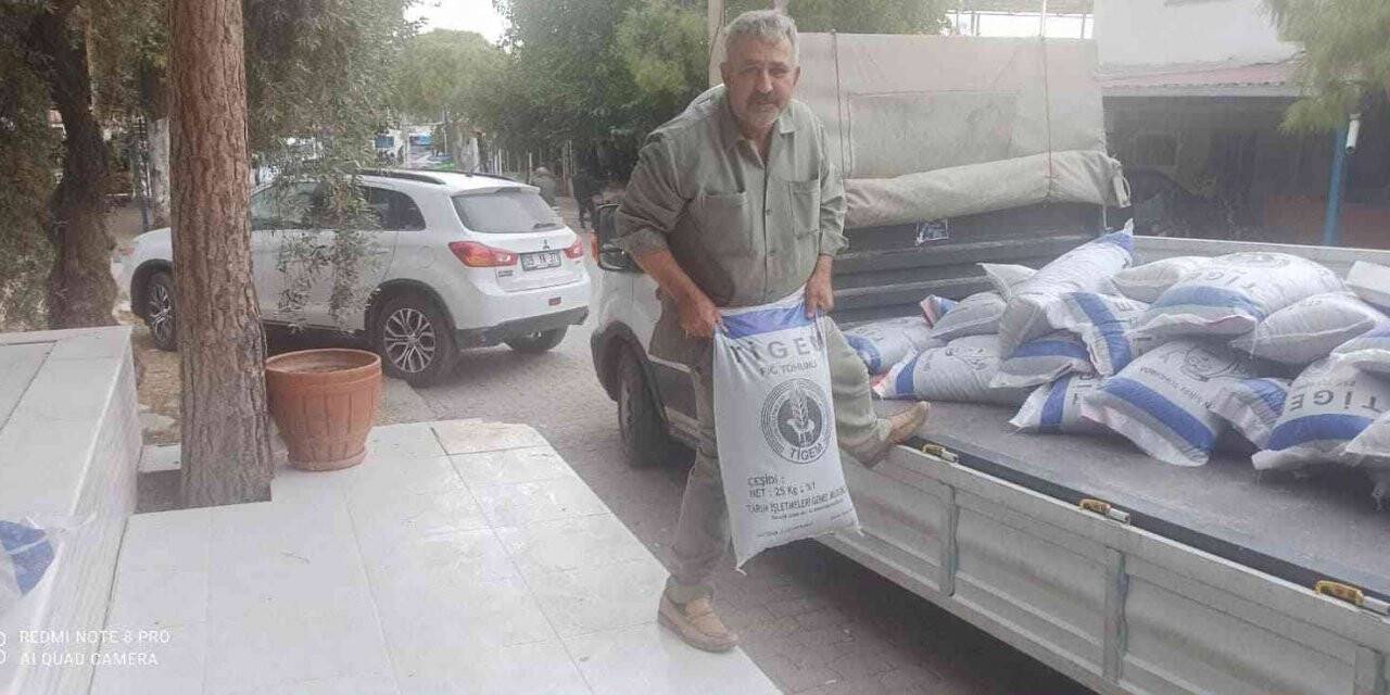 Didim’de üreticilere ton tohum desteği