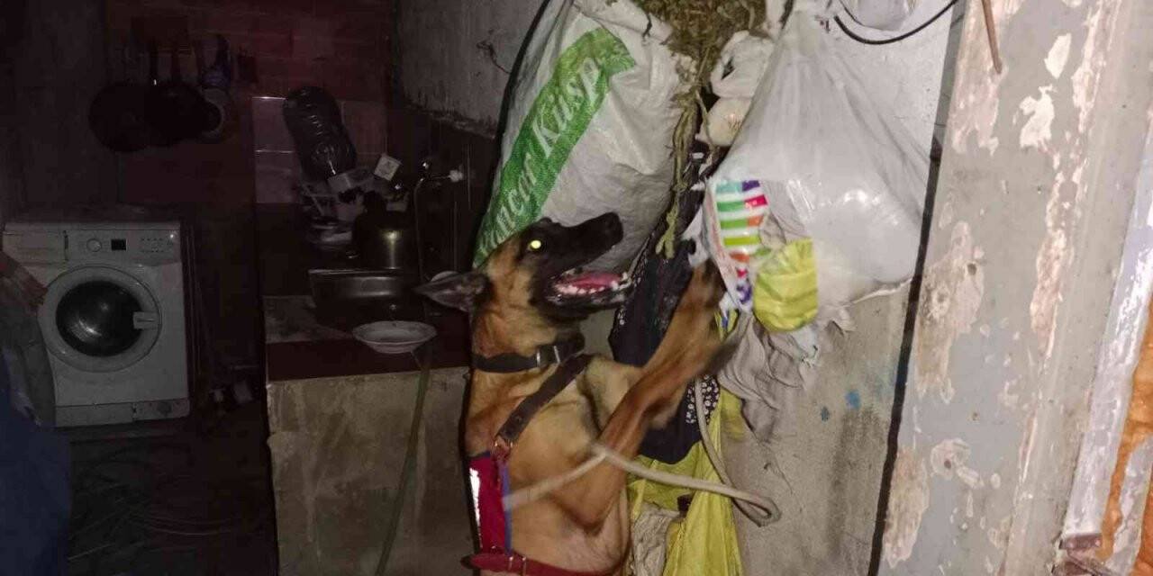 Jandarmadan ‘Skunk’ operasyonu