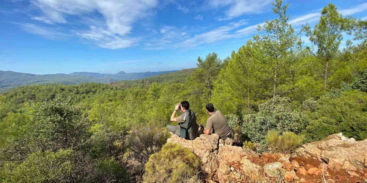 Av koruma çalışmaları devam ediyor