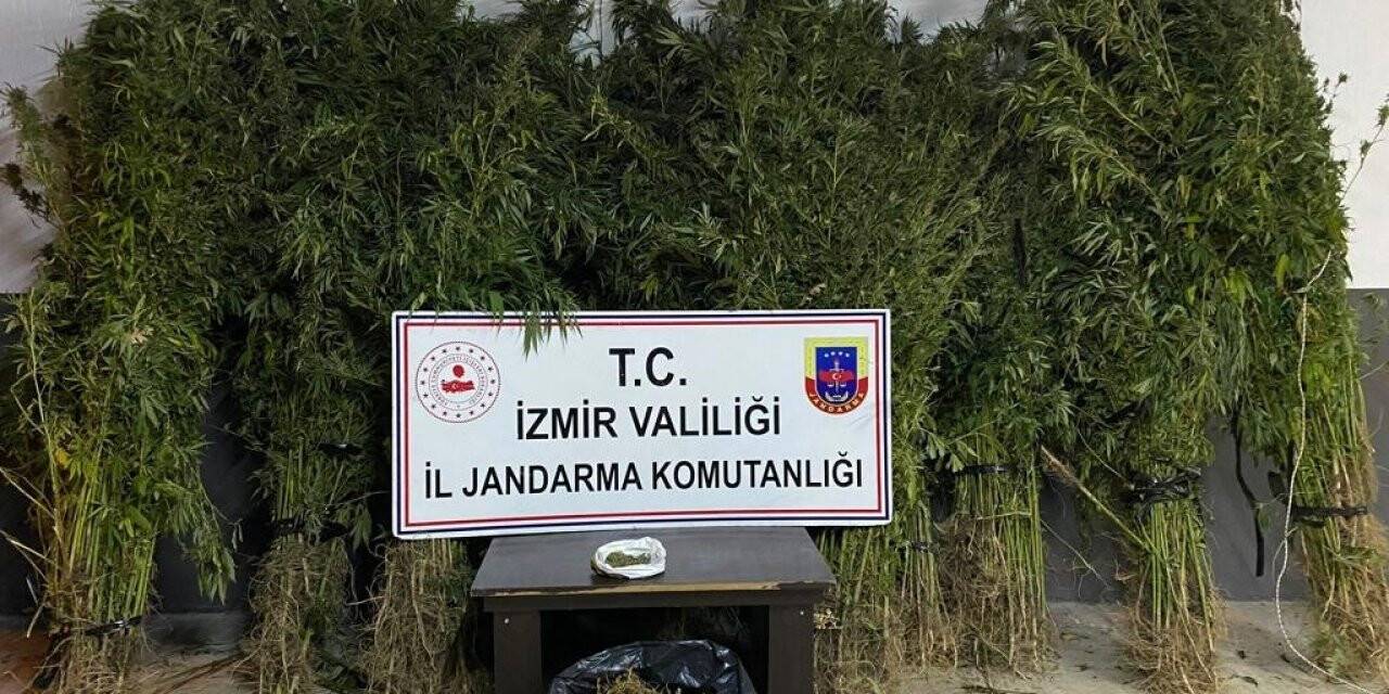 İzmir’in 4 ilçesinde zehir baskını: 14 gözaltı