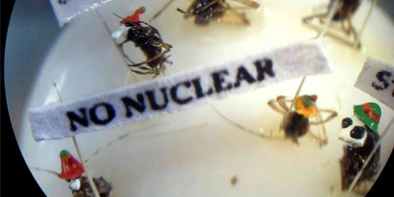 Kruvaziyer turistlerinin yeni rotası Mikro Minyatür Müzesi oldu