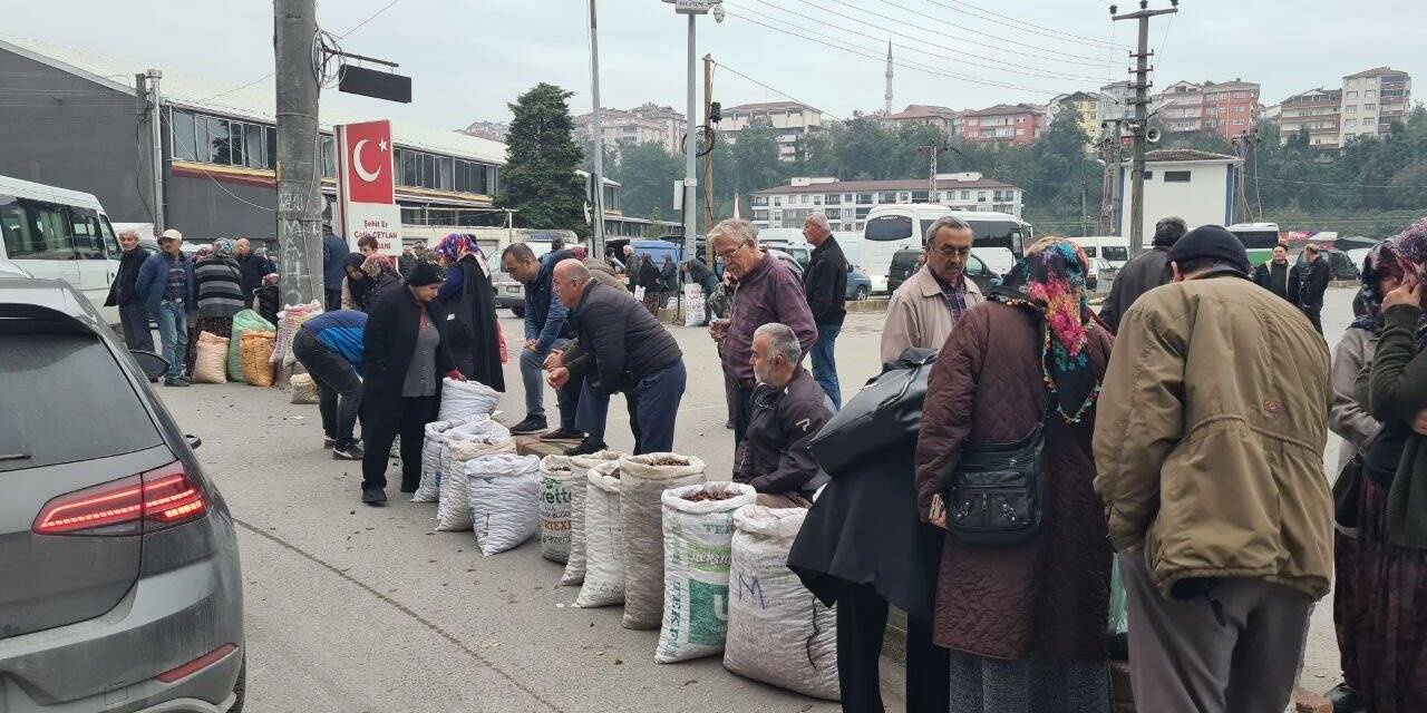 Türkiye’nin dört bir yanından ’Alaplı Kuzusu’ almak için ilçeye akın ettiler
