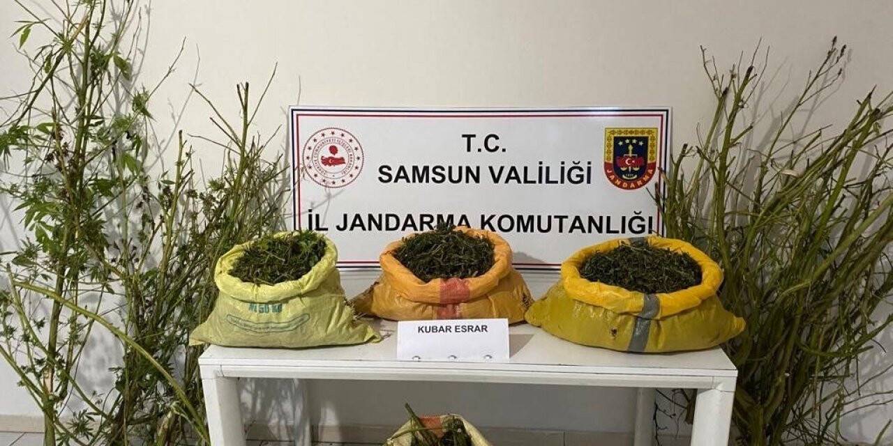 Samsun’da 25 kilo 750 gram kubar esrar ele geçirildi