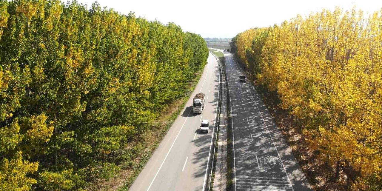 Karayolunda sonbahar koridoru