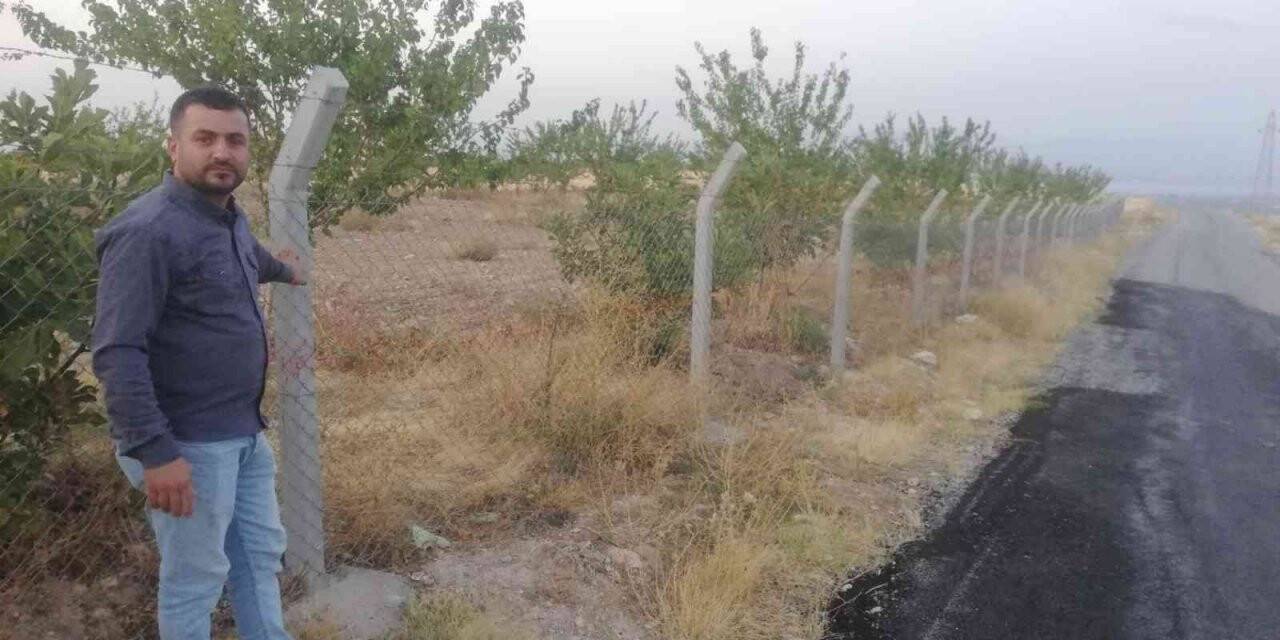 Kayısı üreticisinin başı tel örgü hırsızlarıyla dertte