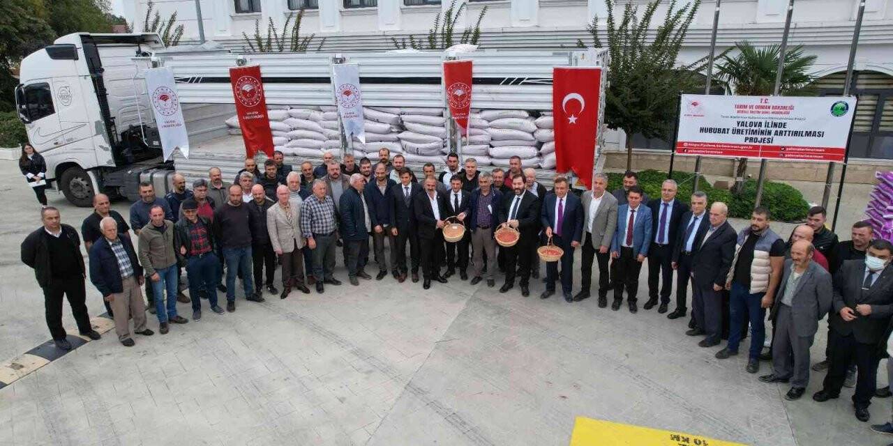 Yalovalı çiftçilere 135 ton buğday ve arpa tohumu dağıtıldı