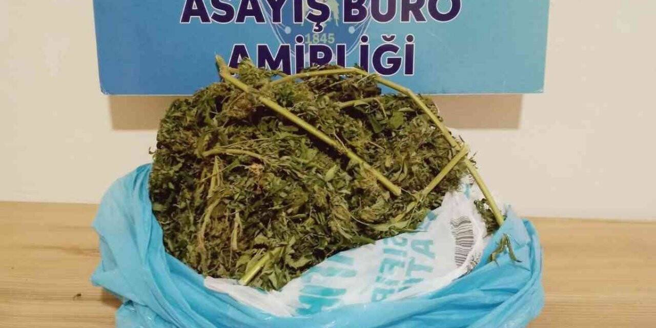 Evinde uyuşturucu bulunan kadın gözaltına alındı