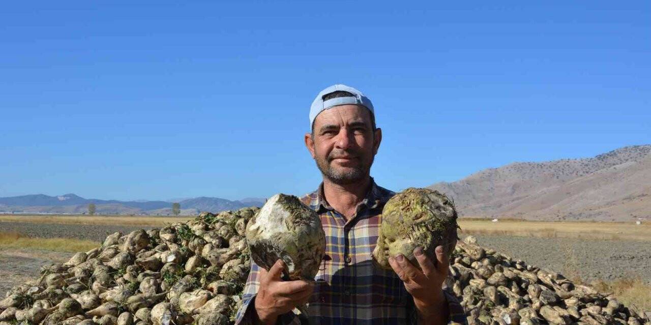 Korkuteli’nde şeker pancarında yüksek rekolte yüzleri güldürdü