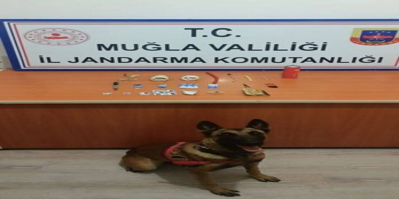 Jandarma’nın detektör köpeği uyuşturucuya geçit vermedi