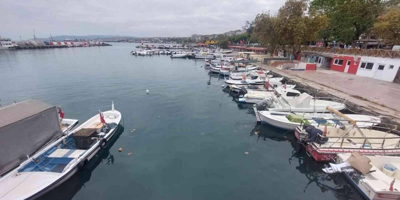 10 günlük esaret bitti: Şimdi de yunuslarla başları belada