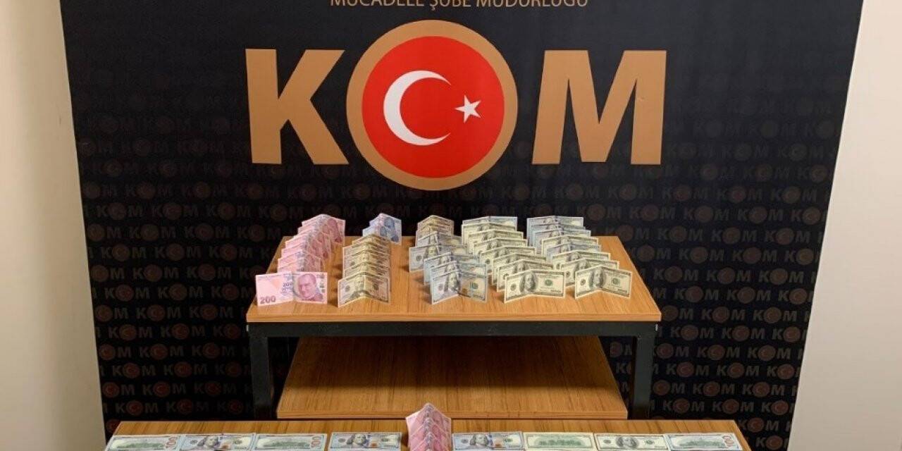 Rize’de FETÖ operasyonu: 7 gözaltı