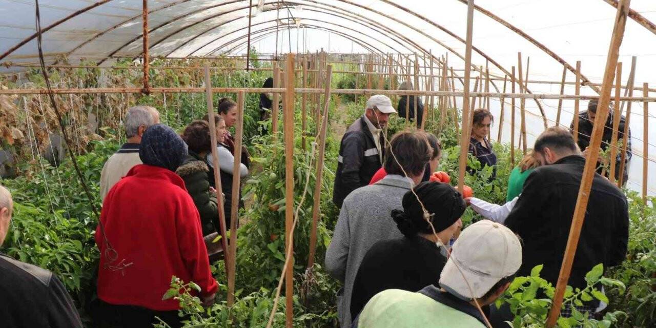 Safranbolu Belediyesi’nden üretime destek kursu