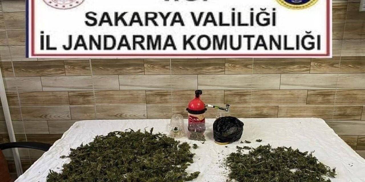 Jandarmadan uyuşturucuya geçit yok: 1 gözaltı