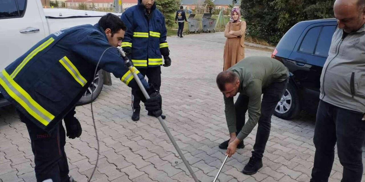 Eve giren yılanı itfaiye ve DKMP ekipleri çıkardı