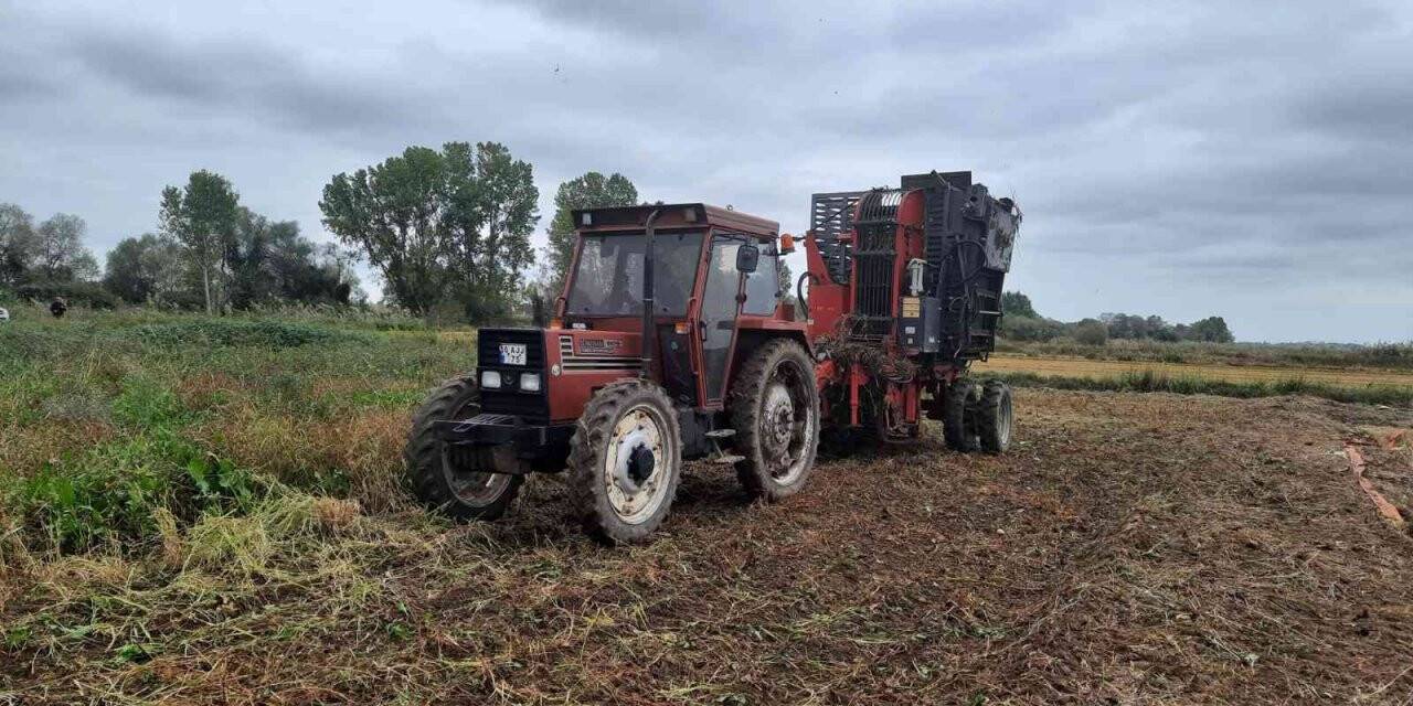 Biga’da 7 yıl sonra pancar hasadı başladı