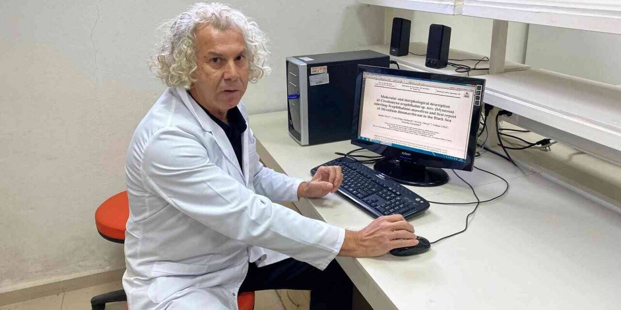 Karadeniz’de yetişen kalkan balığında iki yeni parazit keşfedildi