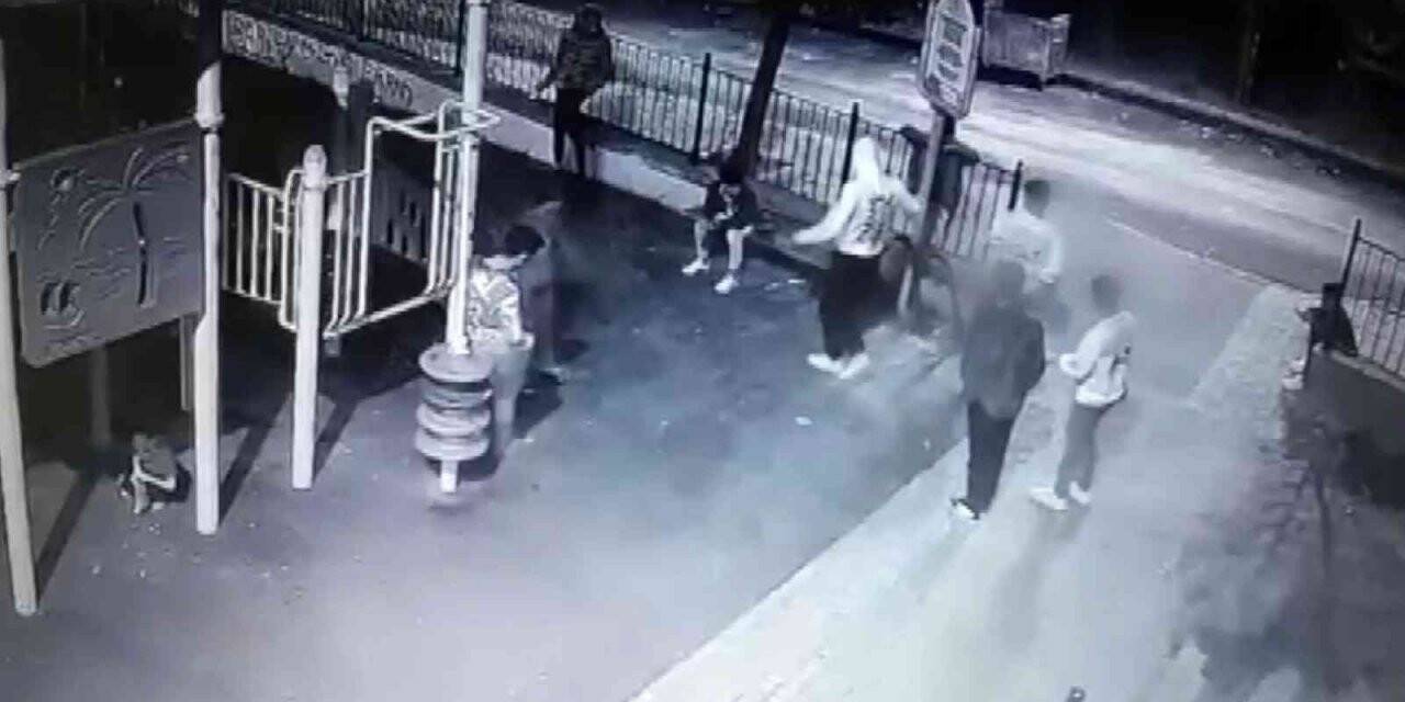 Gençler parktaki çöp kutusunu yakıp tekmelediler