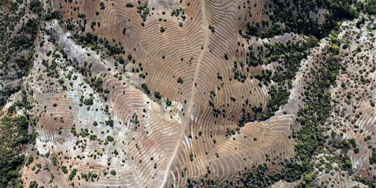 Emet’te 48,5 hektarlık ağaçlandırma sahasına 90 bin kızılçam fidanı dikilecek