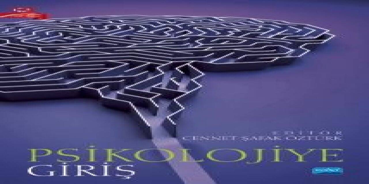 ADÜ Öğretim Üyesi Öztürk’ün editörlüğünü yaptığı kitabı yayınlandı