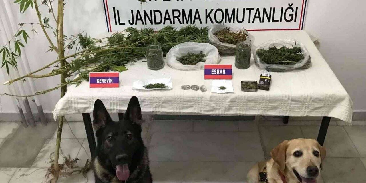 Yakalama kararı olan şüpheli Yenipazar’da yakalandı